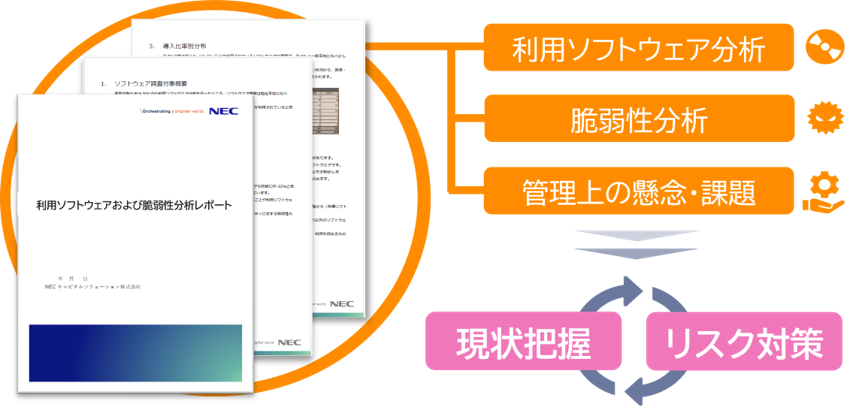 利用ソフトウェア分析・脆弱性分析・管理上の懸念・課題などの現状を把握し、リスク対策